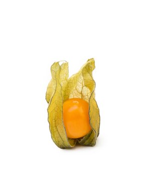 Sağlıklı Cape beyaz arka plan üzerinde izole bektaşi üzümü (Physalis)