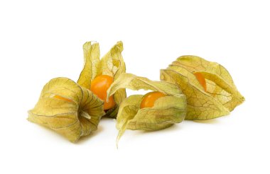 Sağlıklı Cape beyaz arka plan üzerinde izole bektaşi üzümü (Physalis)