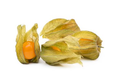 Sağlıklı Cape beyaz arka plan üzerinde izole bektaşi üzümü (Physalis)