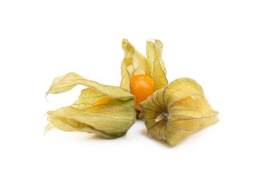 Sağlıklı Cape beyaz arka plan üzerinde izole bektaşi üzümü (Physalis)