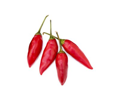 Beyaz arka plan üzerinde izole kırmızı biber