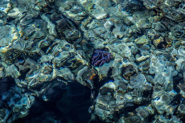 Deniz yüzeyi, mercan — Stok fotoğraf