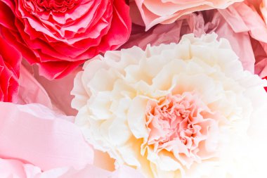 Arka plan, pembe çiçek