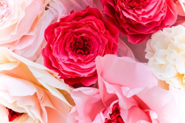 Arka plan, pembe çiçek