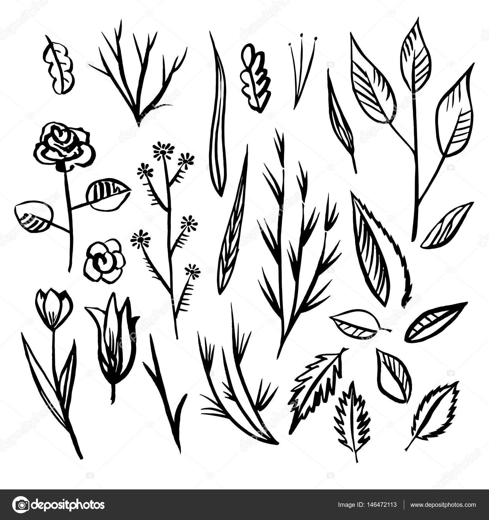 Floral designs detail sketch — Stock Vector © roma79 0979 mail