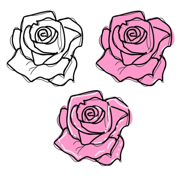 TROIS ROSES croquis — Image vectorielle