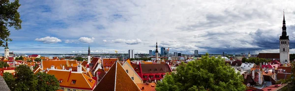 Sommerpanorama Von Tallinn Luftaufnahme Der Altstadt Von Estland Orangefarbene Dächer — Stockfoto