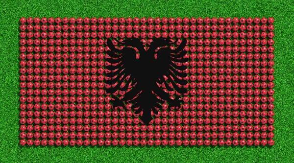 Прапор Албанії Футболу Куль Травою Поле Візуалізації — стокове фото