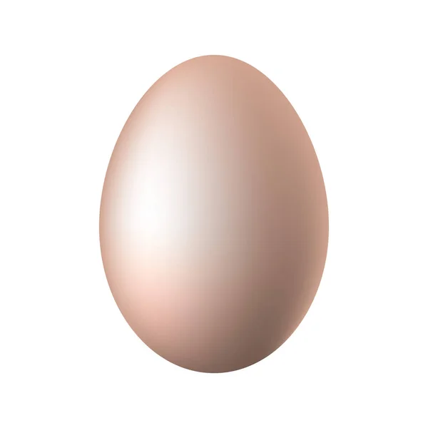 Huevo sobre fondo blanco. — Vector de stock
