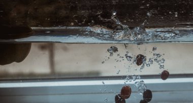 Elma sosu içinde akvaryum