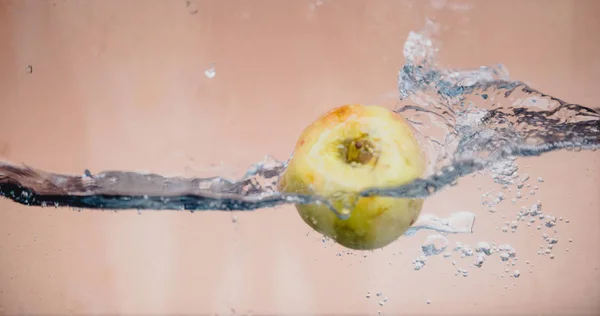 Яблочный окунь в аквариум — стоковое фото