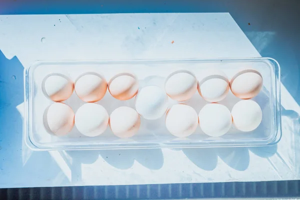 Ovos em uma bandeja plástica no branco. Ovos de Páscoa . — Fotografia de Stock