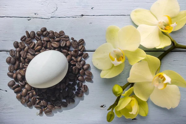 Kaffebönor och påskägg med orkidé på grå bakgrund — Stockfoto
