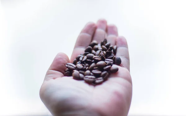 Granos de café - Primer plano de la persona que sostiene granos de café en las manos — Foto de Stock
