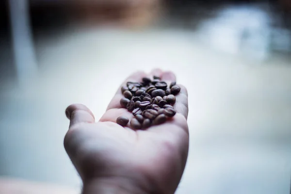 Granos de café - Primer plano de la persona que sostiene granos de café en las manos — Foto de Stock