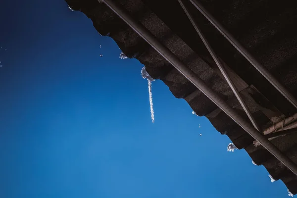 Gelo claro brilhante icicles pendurar em um dia claro — Fotografia de Stock