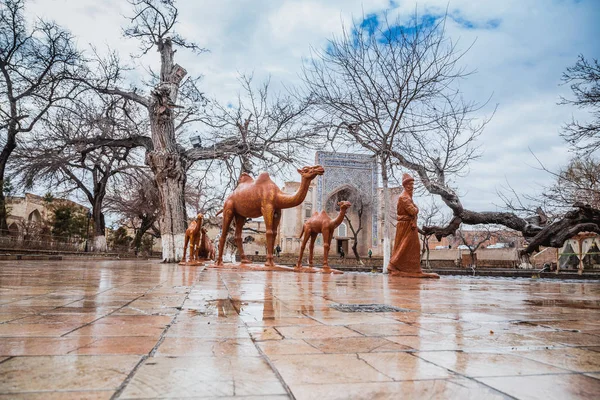 Blick auf lyabi-hauz nach regen, buchara, usbekistan — Stockfoto