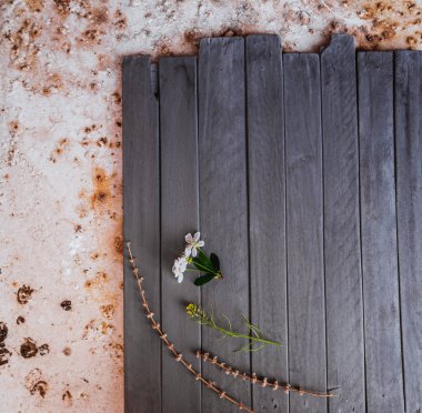 ahşap arka plan bahar çiçeği