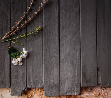 ahşap arka plan bahar çiçeği