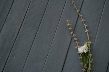 ahşap arka plan bahar çiçeği