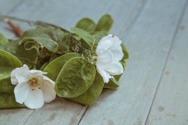 ahşap zemin üzerinde kiraz çiçeği. kopya alanı.