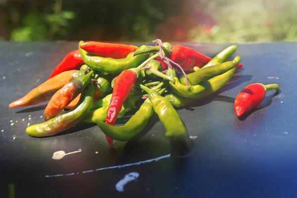 Red hot chili peppers açık havada. Karanlık kurulu arka plan üzerinde kırmızı ve yeşil biber