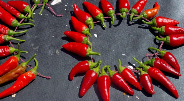 Red hot chili peppers açık havada. Karanlık kurulu arka plan üzerinde kırmızı ve yeşil biber