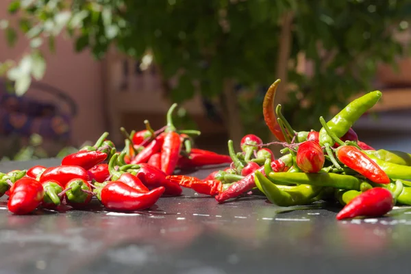 Red hot chili peppers açık havada. Karanlık kurulu arka plan üzerinde kırmızı ve yeşil biber