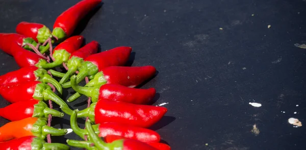 Red hot chili peppers outdoors. Red and green pepper on dark board background