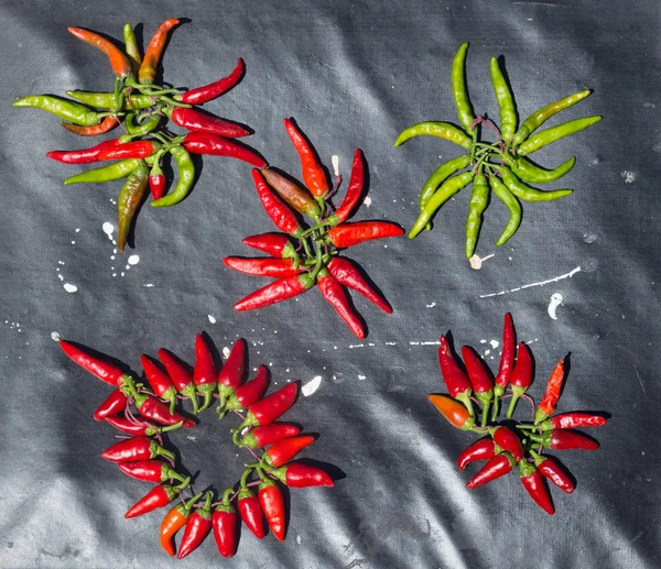 Red hot chili peppers buitenshuis. Rode en groene peper op donkere bestuur achtergrond — Stockfoto
