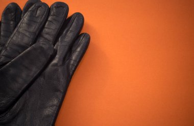 İki deri eldiven