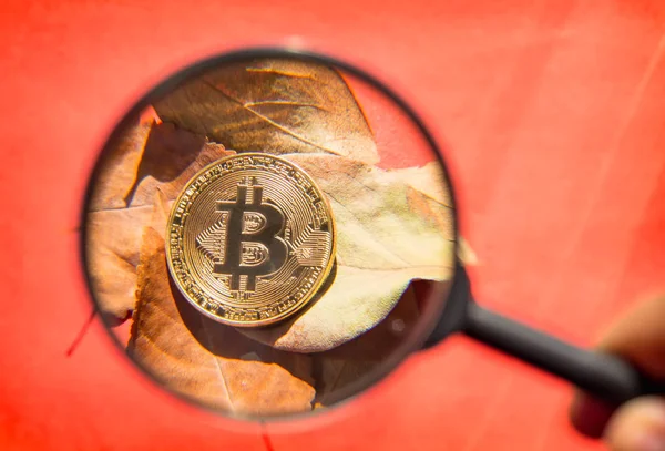 Persoon kijken door een vergrootglas op bitcoin — Stockfoto