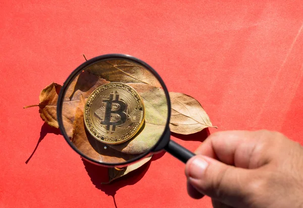 Persoon kijken door een vergrootglas op bitcoin — Stockfoto