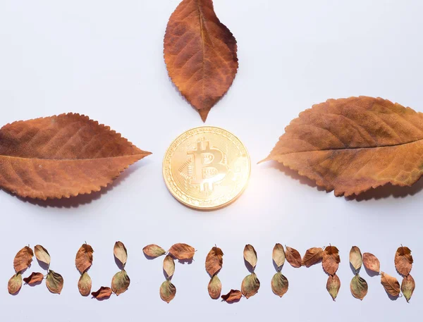 Virtuele munt Bitcoin op op wit met tekst — Stockfoto