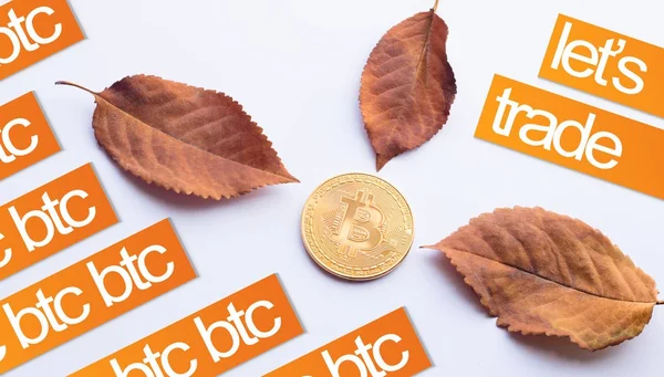 Prvky pro podzim. Virtuální mince Bitcoinu v centru poklesla podzimní listy s texty — Stock fotografie