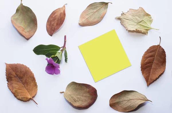 Adesivo de lembrete amarelo com uma pequena flor rosa com folhas caídas no canto — Fotografia de Stock