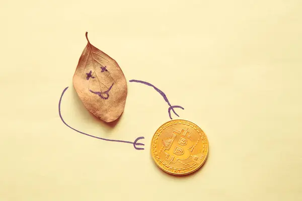 Podzimní finanční koncept: fallen list s smajlík a golden bitcoin — Stock fotografie