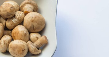 Taze beyaz mantar champignon