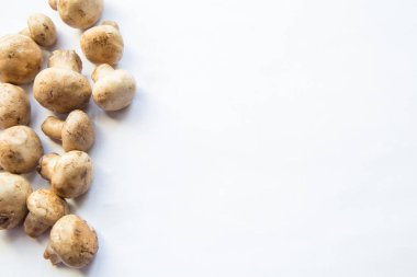 Taze beyaz mantar champignon