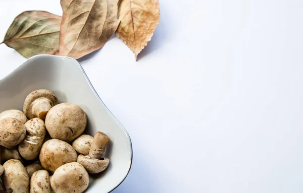 Cogumelos em prato e folhas de outono — Fotografia de Stock