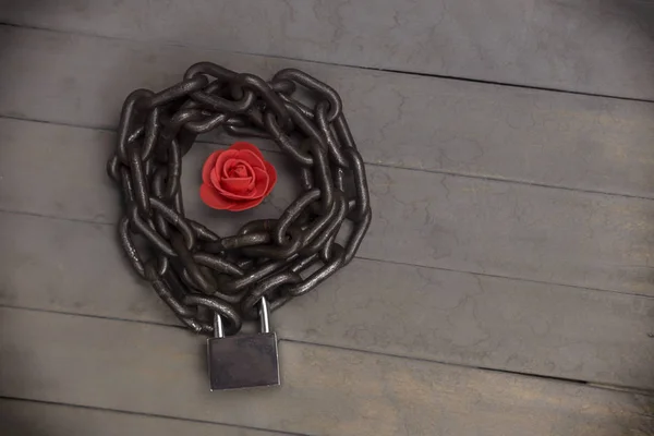 Chained and locked red rose on the wooden background