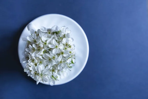 Flores de flor en el plato — Foto de Stock