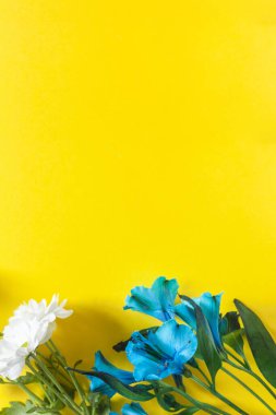 bahar çiçekleri arka planı