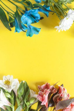 bahar çiçekleri arka planı