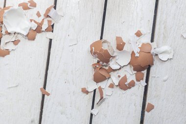 Tahtadaki yumurta kabukları.