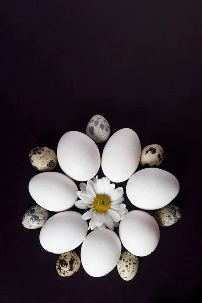 Vackra arrangemang av ägg på svart — Stockfoto