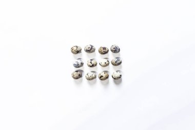 Beyaz bıldırcın yumurtası aranjmanı