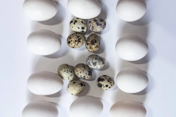 Chicken and quail eggs on white — Stock Fotó
