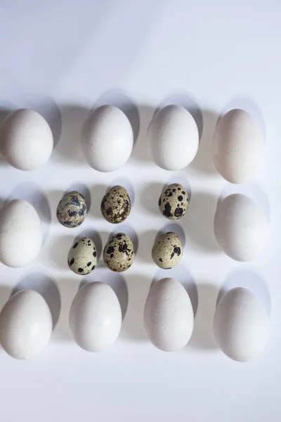 Chicken and quail eggs on white — Stock Fotó