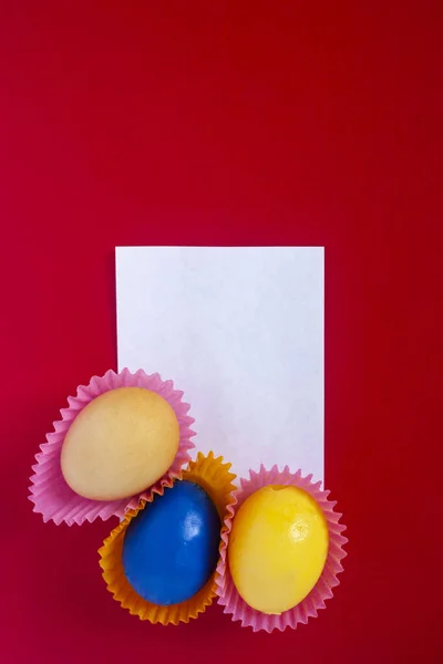 紙の空の作品とカラフルなイースターの卵を飾る — ストック写真
